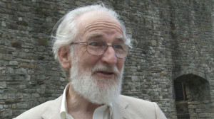 David Crystal, Linguist